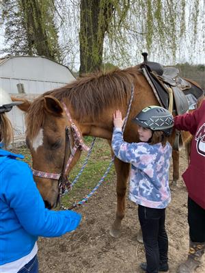 Horse camp 